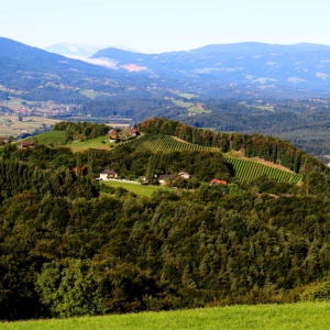 Wandern am Eichberg