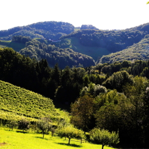 Wanderung mit Blick zur Kreuzbergwarte