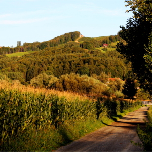 Idyllischer Radweg (ca. 500m vom Haus entfernt aufgenommen)