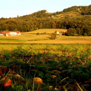 Wundervoller Ausblick am Radweg bei beginnender Abenddämmerung (ca. 150m vom Haus entfernt aufgenommen)